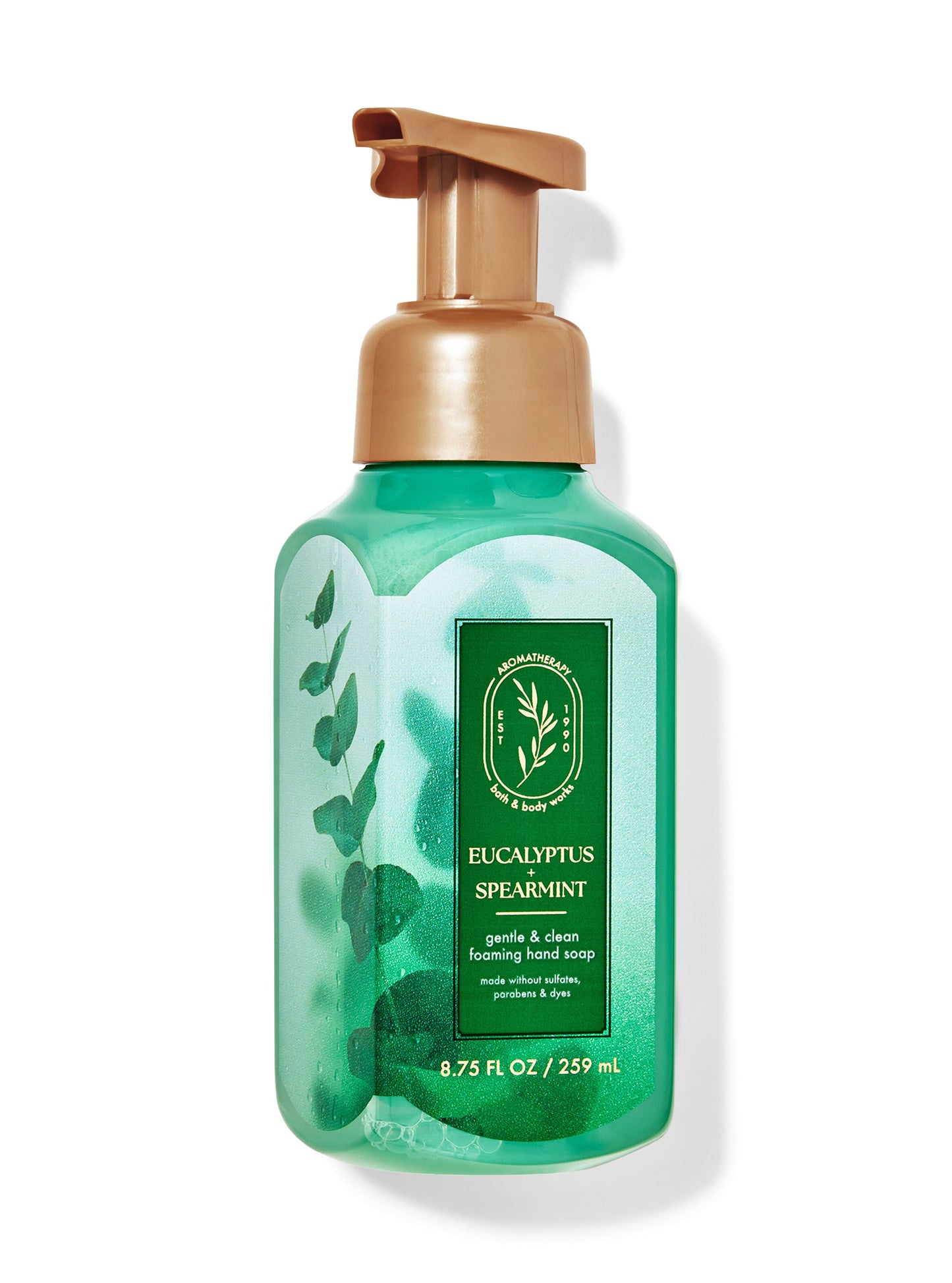 Eucalyptus Spearmint Gentle & Clean Foaming Hand Soap