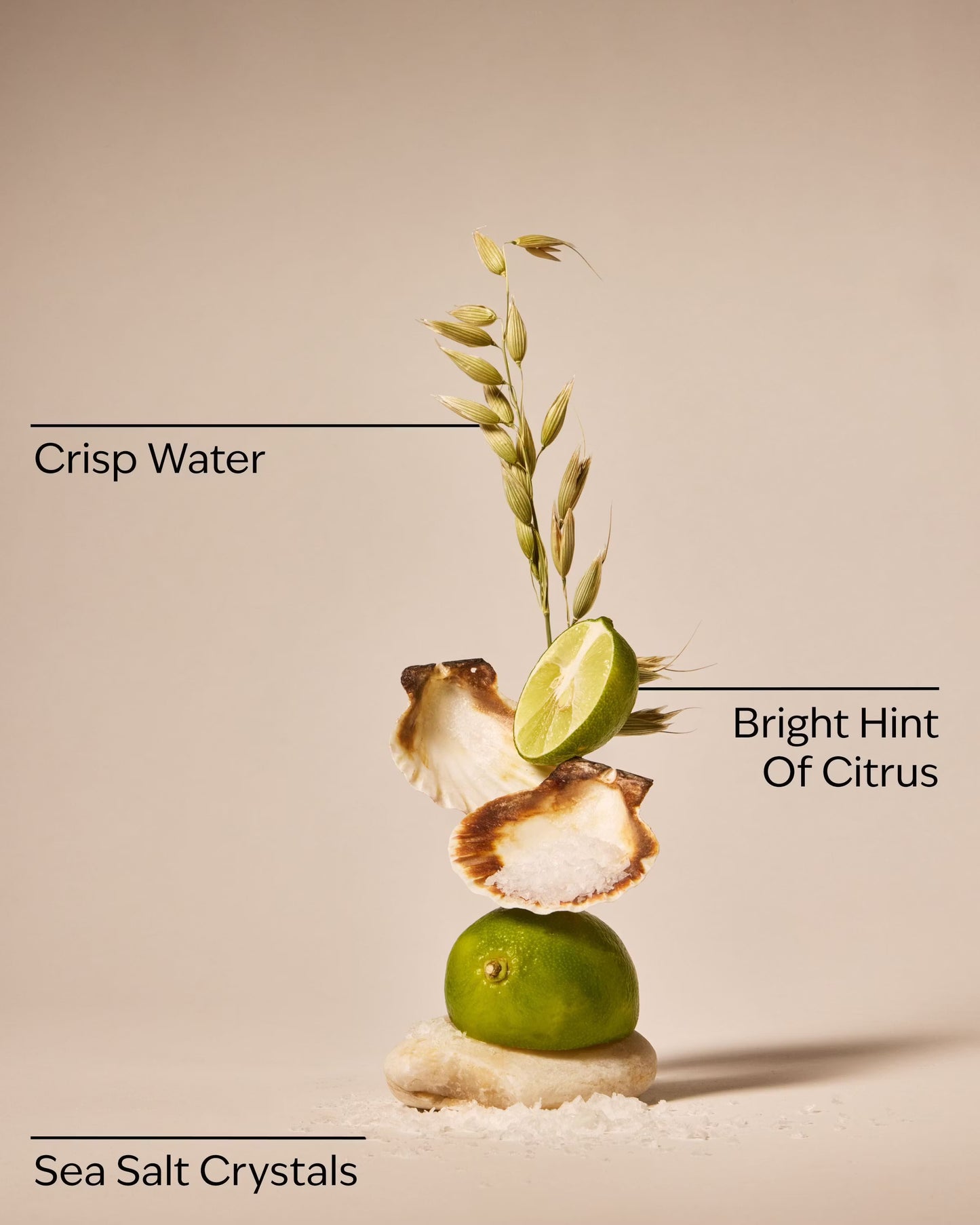 Fresh Water & Sea Salt 3-Wick Candle
