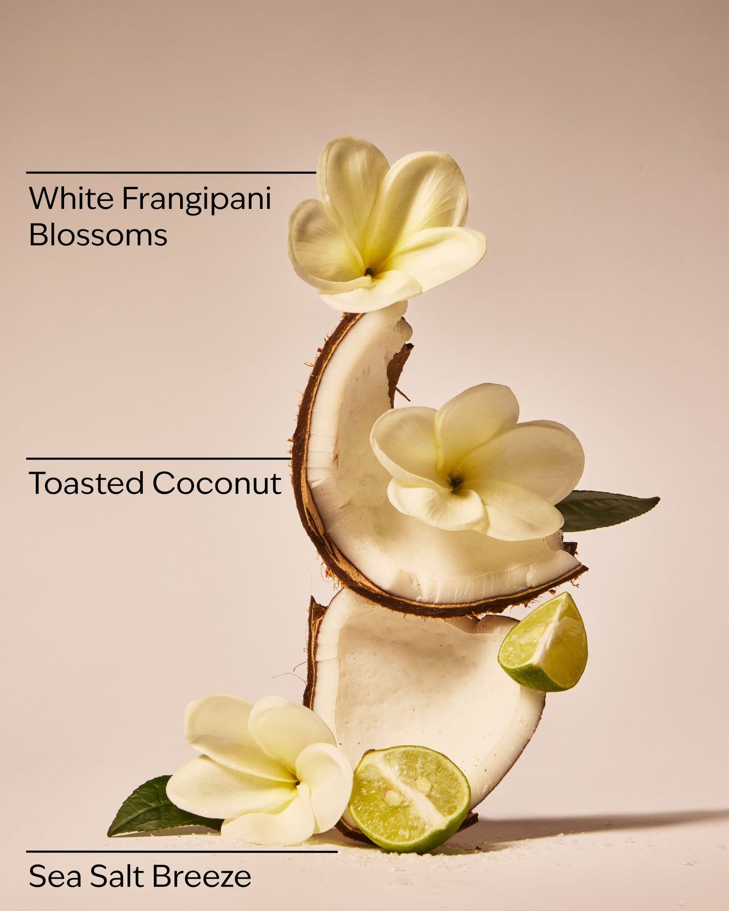At the Beach Dry Shampoo
