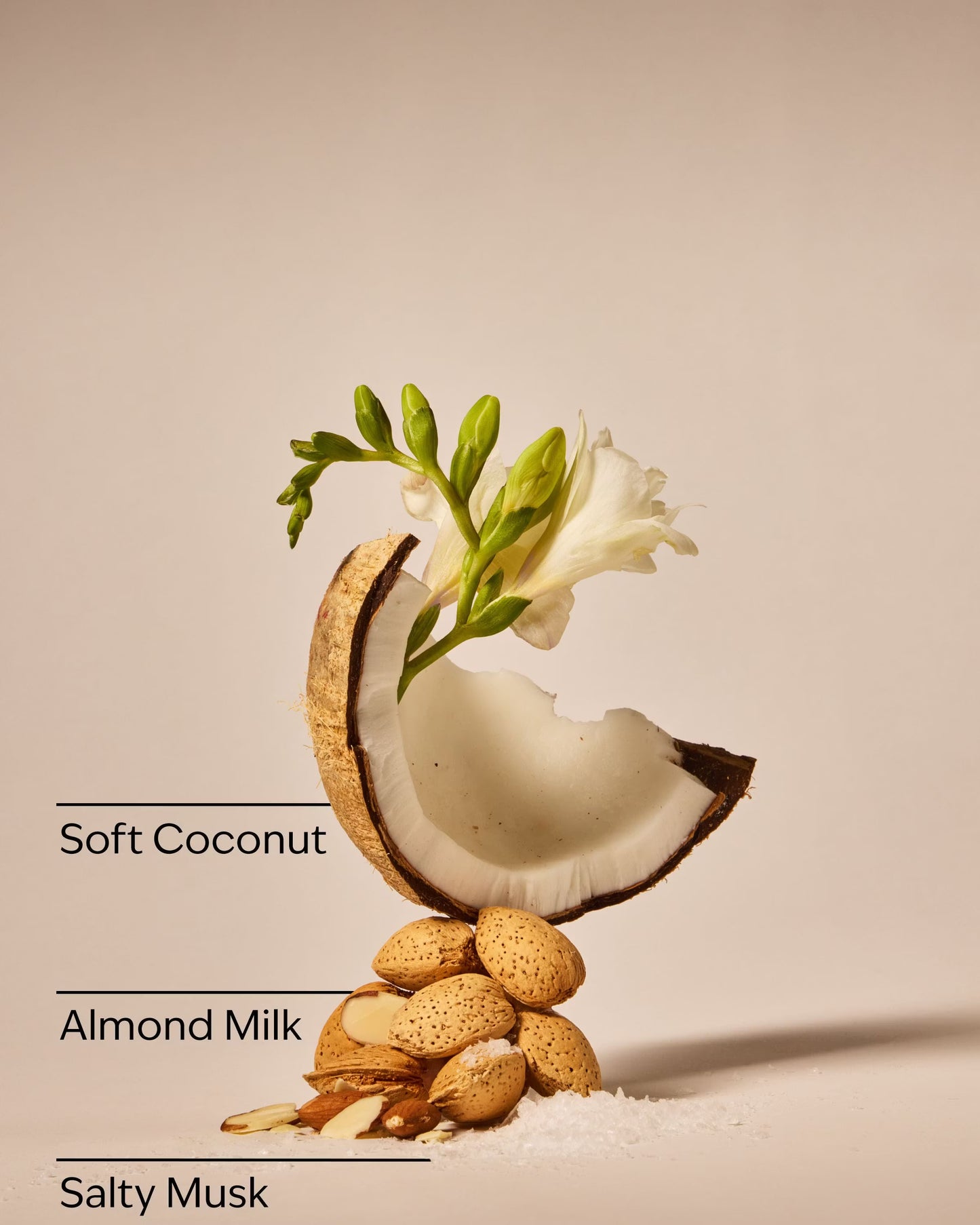 Coconut Linen Single Wick Candle