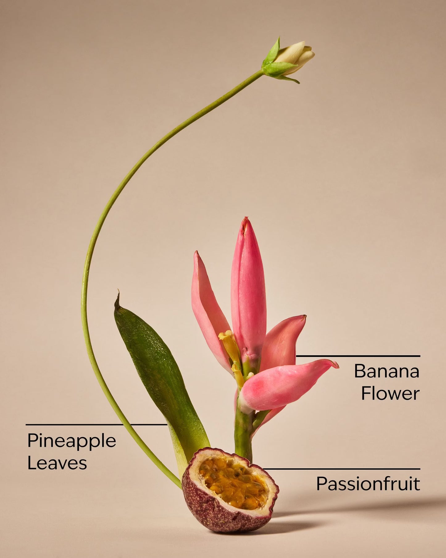 Bahamas Passionfruit & Banana Flower Body Wash