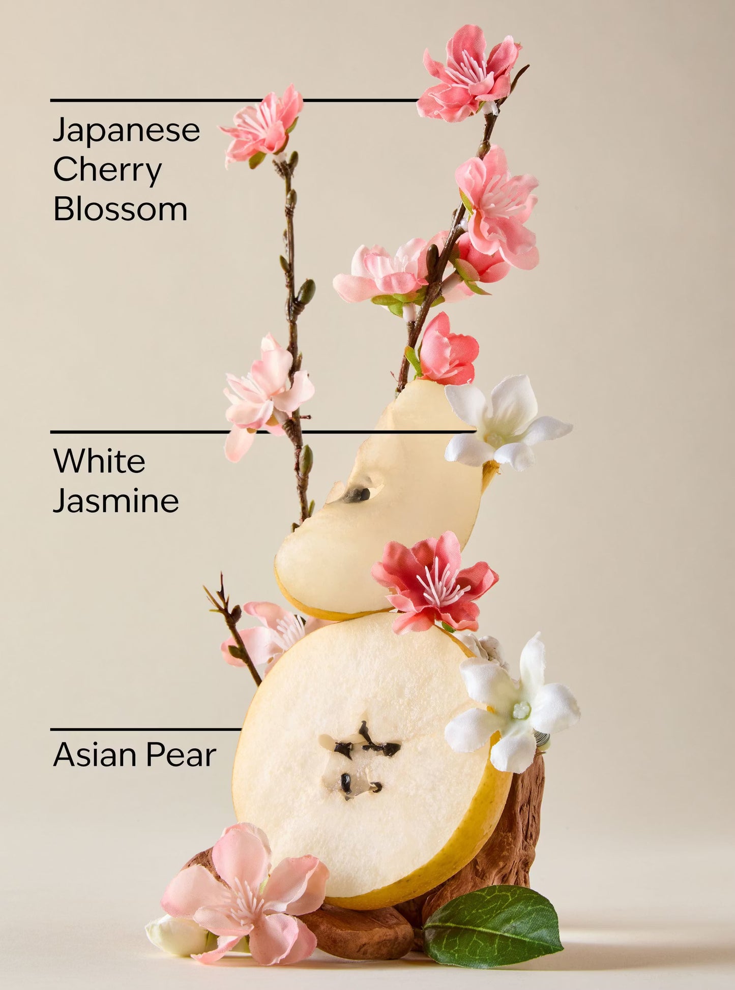 Japanese Cherry Blossom 3-Wick Candle