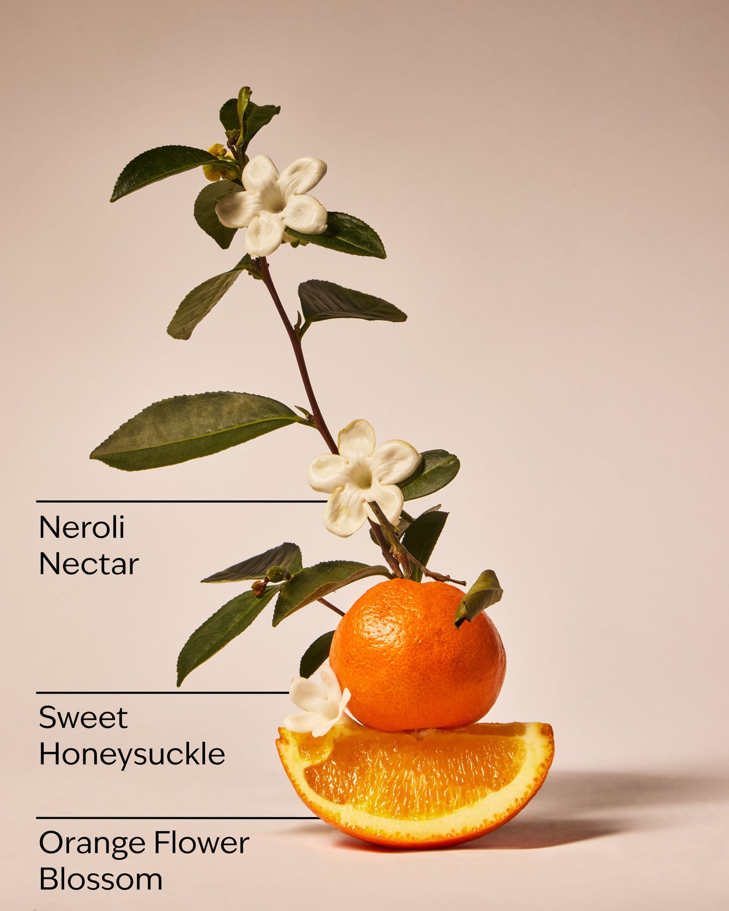 Backyard Honeysuckle 3-Wick Candle