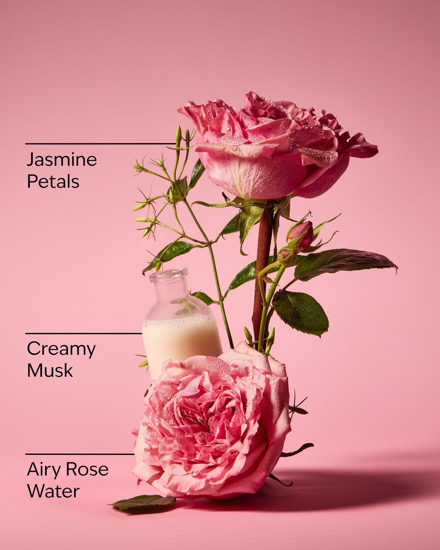 Rose Body Lotion