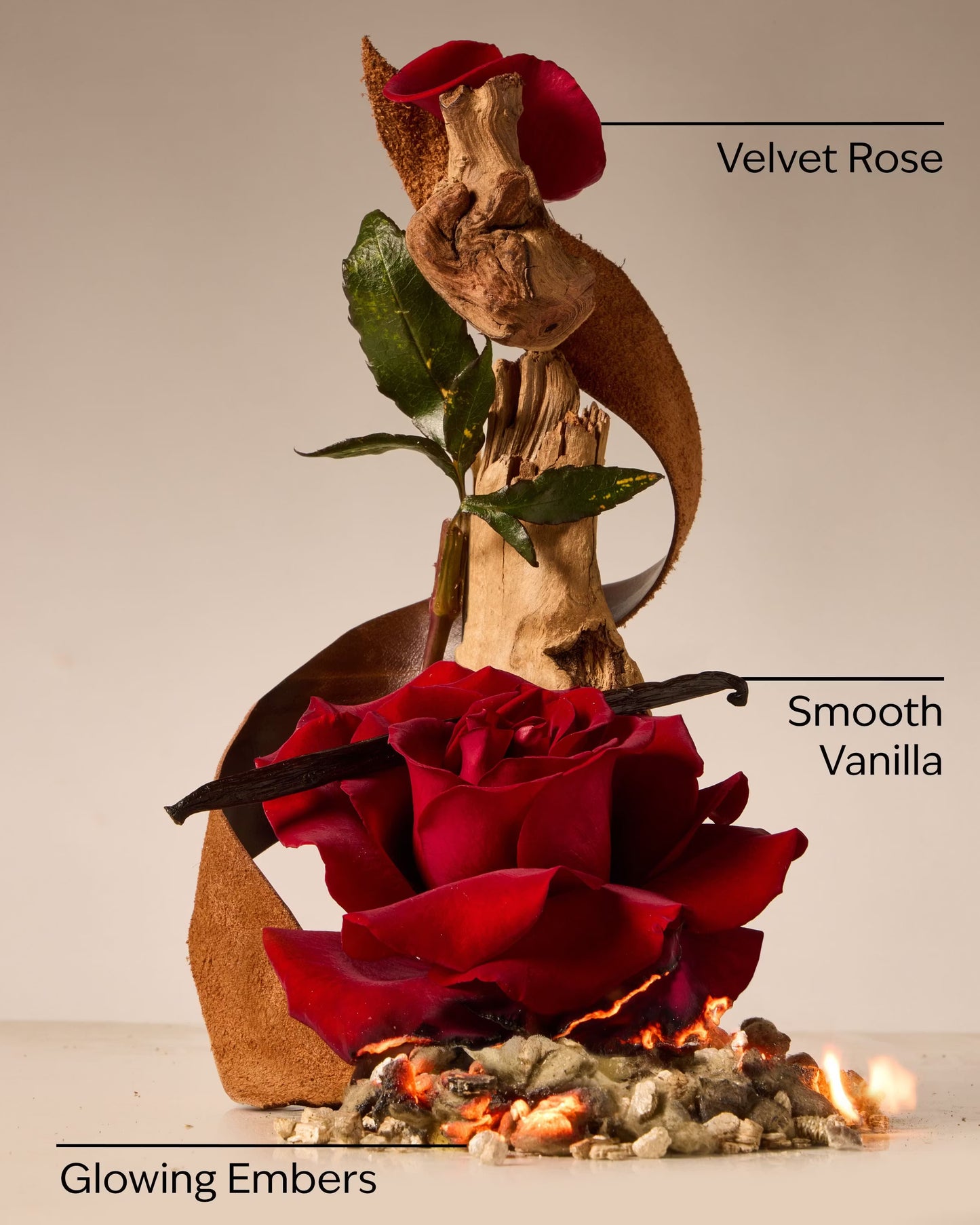 Rosewood & Suede 3-Wick Candle