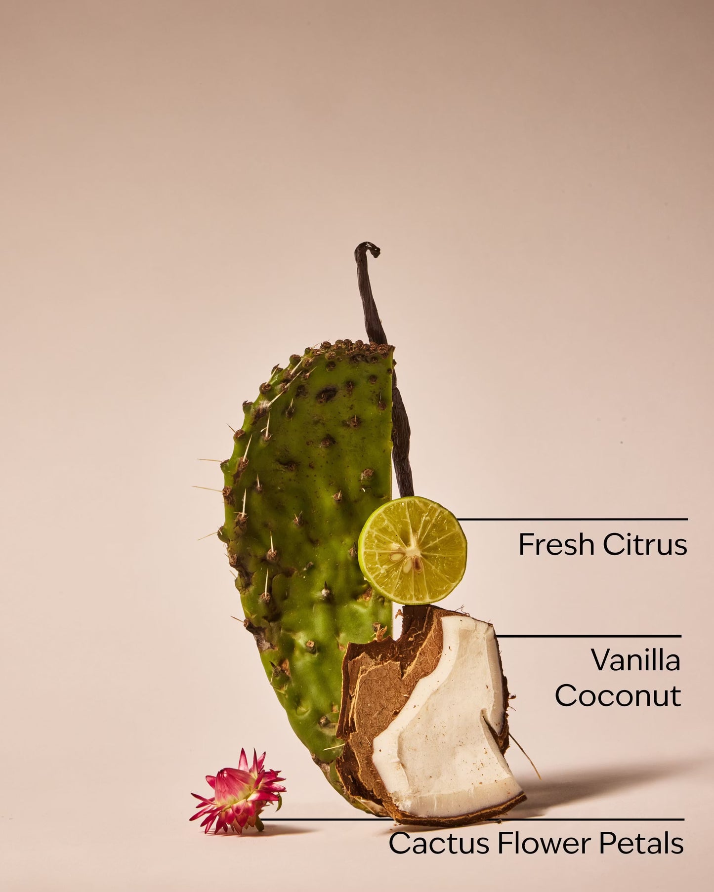Cactus Blossom Single Wick Candle