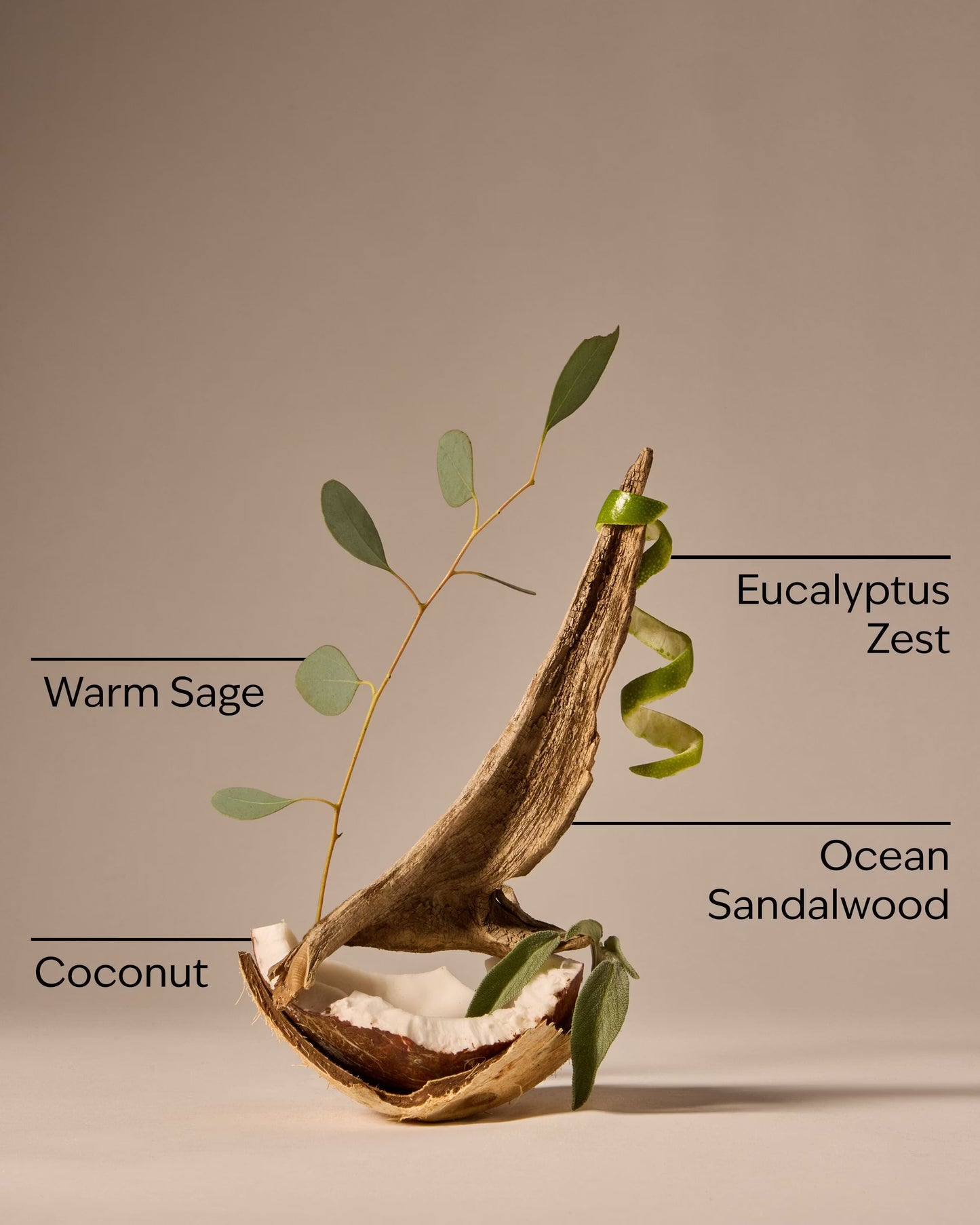 Warm Ocean Breeze Single Wick Candle