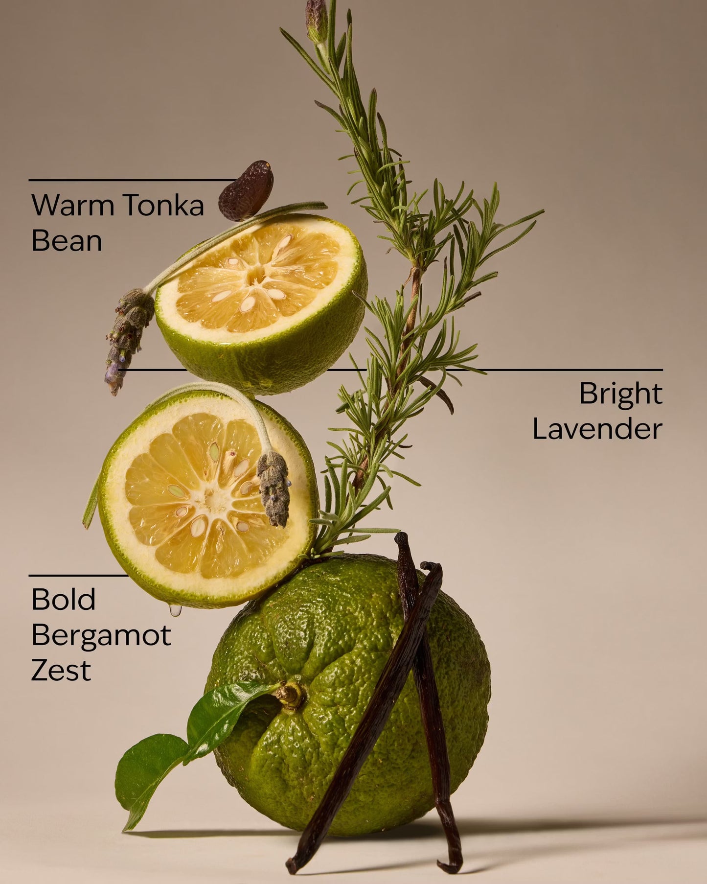 Lavender Bergamot 3-Wick Candle