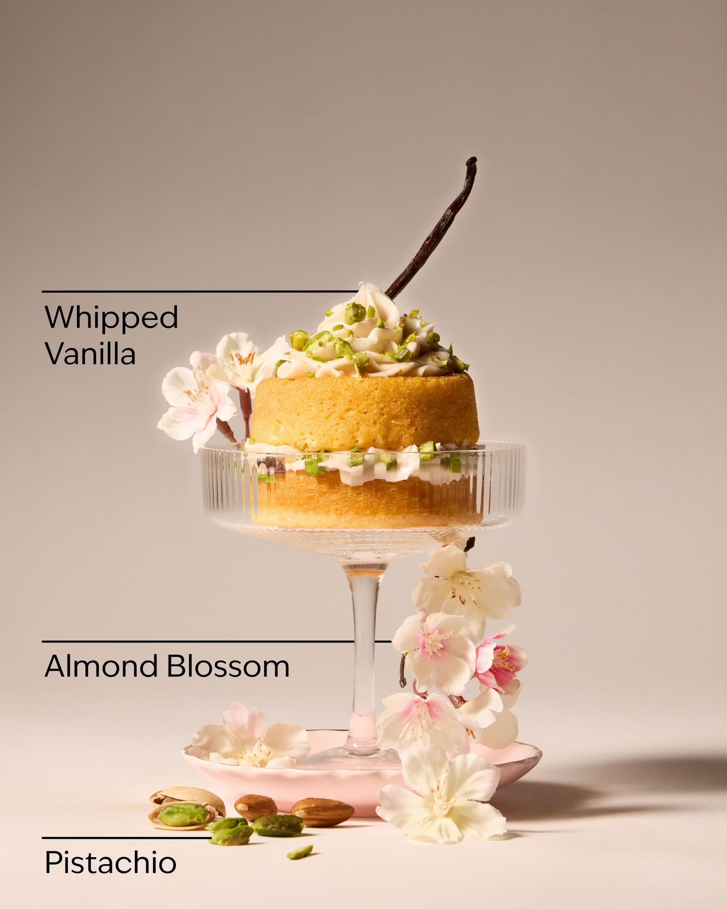 Toasted Pistachio Travel Size Fine Fragrance Mist