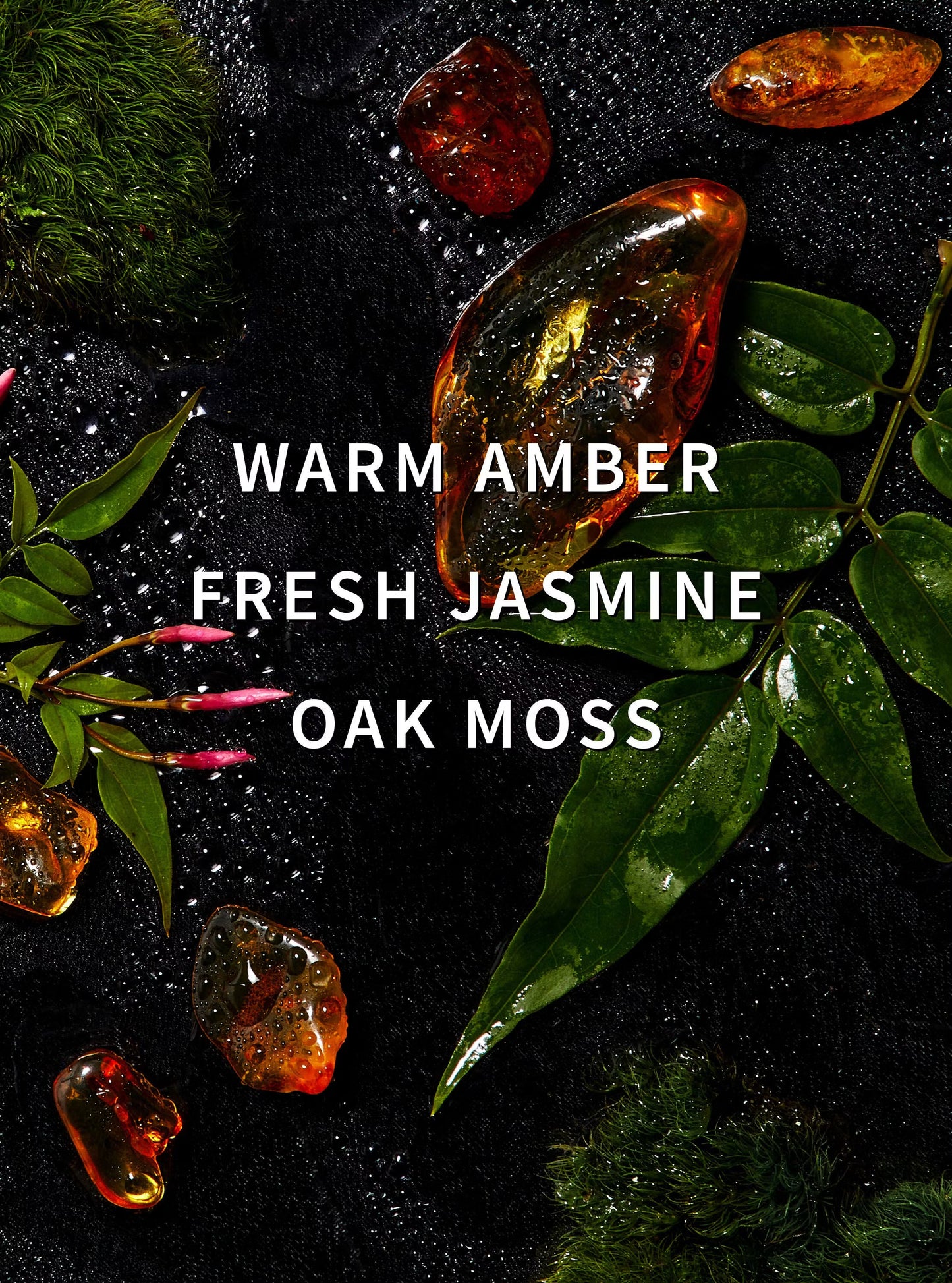 Amber Blush Laundry Detergent