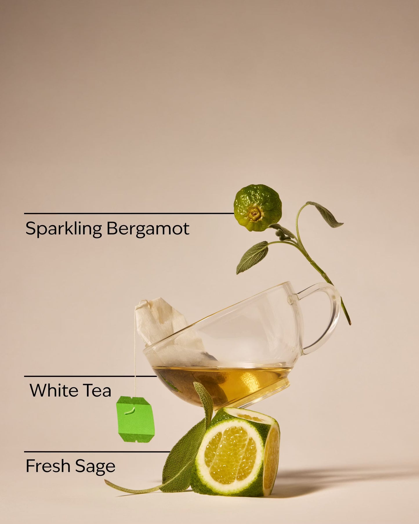 White Tea & Sage 3-Wick Candle