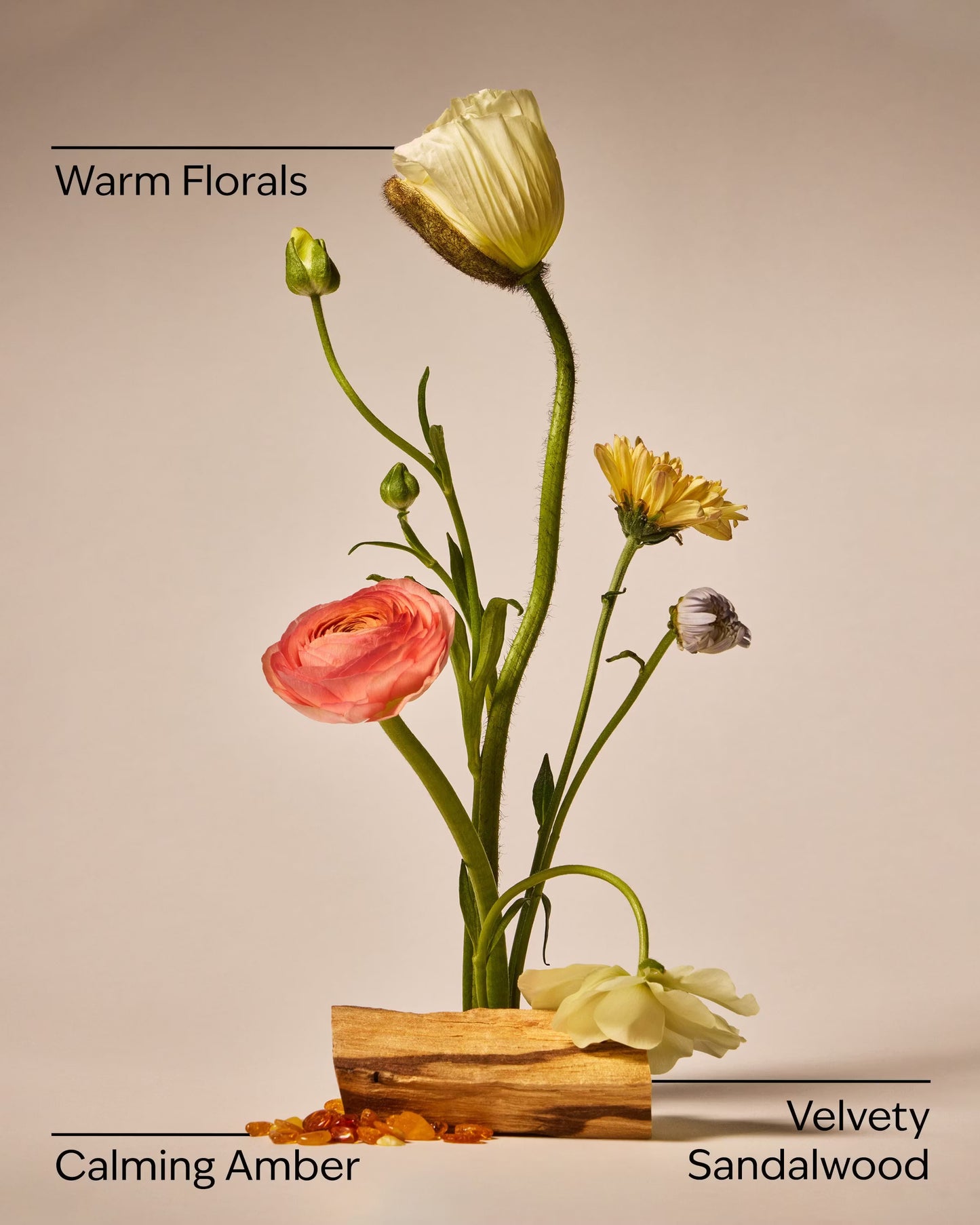 Warm Summer Evening 3-Wick Candle