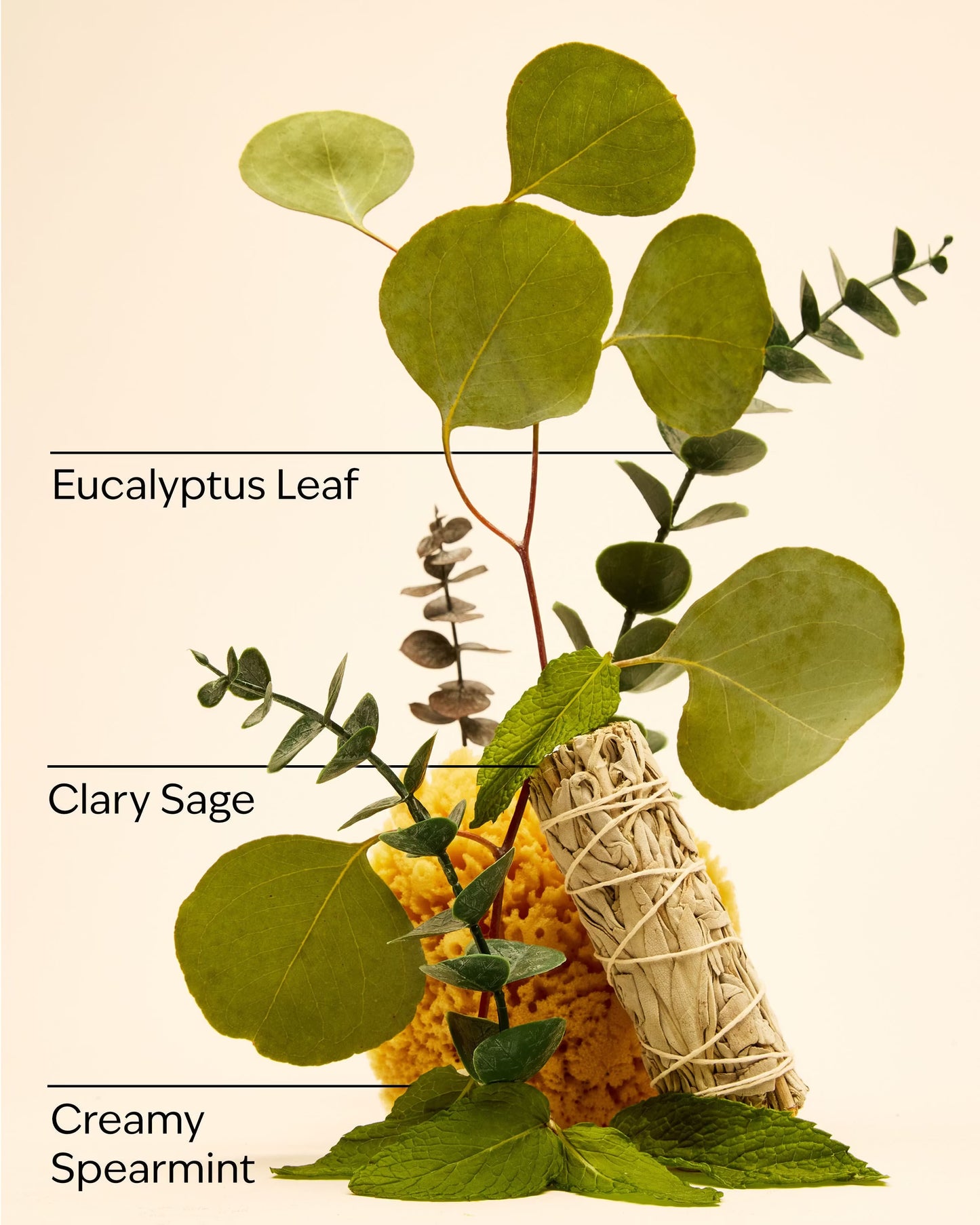 Eucalyptus Spearmint Moisturizing Conditioner